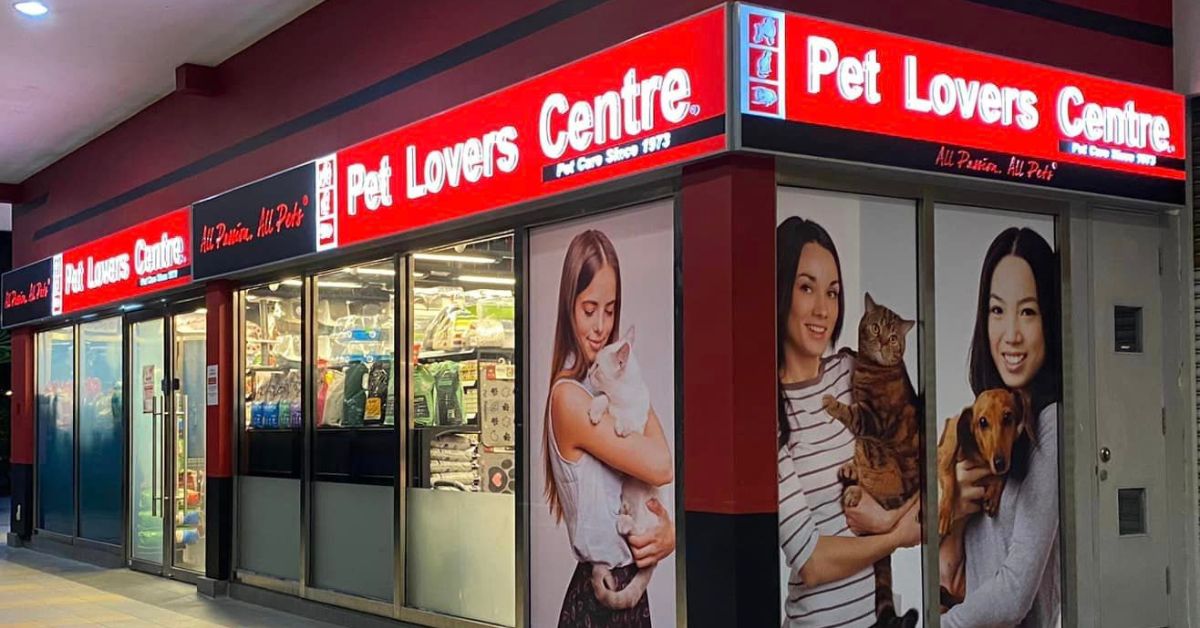 Best Pet Shops in Singapore for Food Supplies Toys and More